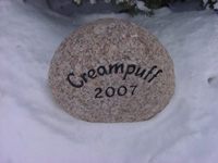 Creampuff